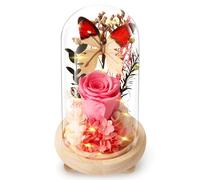 Preserved Rose Gifts for Women, Forever Flowers Butterfly Real Roses, Birthday Eternal Flower Gift for Mom Wife Her Grandma Girlfriend on Anniversary Mothers Day Christmas Valentines Romantic (pink)