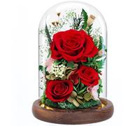 Preserved Rose in Glass Dome with LED Light, Forever Flowers for Delivery Prime, Flowers Fresh Bouquet as Gifts for Women Mom Grandma Friend Wife Girlfriend on Christmas Birthday Anniversary-Red