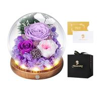 Preserved Roses in Glass Dome with LED Light - Long Lasting Real Flowers, Forever Flowers for Special Moments, Flowers Roses for Valentines Day Gifts, Mothers Day, Birthday Gifts for Women, Purple