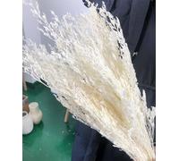 Preserved Valentine Grass Natural Limonium Bouquet, Real Caspia Bellidifolium, Sea Lavender for Wedding Home Décor, Door Wreath, Party Table Vase Decoration (White)