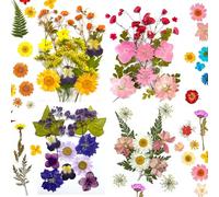Pressed Dried Flowers,60 Pcs Colorful Dried Pressed Flowers for Crafts,Pressed Flowers for Resin,Real Dried Pressed Flowers,Mixed Multiple Natural Flowers Leaves,for Crafts Making Floral DIY