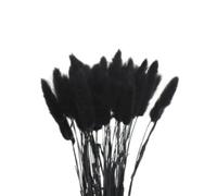Pressed Flower Craft 50pcs Premium Bunny Tail Decor Plants, Dried Flowers Rabbit Grass, Immortal Bouquets for Party(Black)