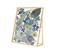 Pressed Flower Frame, Vintage Gold Brass Glass Frame with Geometric Design for Wall Decor, 14x16cm Large Dried Flower Display for Living Room or Bedroom