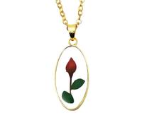 Pressed Flower Necklace - Sec Pressed Flower Necklace, Oval Shaped Dried Flower Pendant |Four Leaf Clover, DON'T MEe Forget Me, Rose Flower Teardrop Pendant Necklace, Consulte la descripción, See