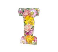 Pressed Flower Resin Letters with Light,Custom Letter Lamps,Floral Resin Night Light,Personalized Dry Flower Name Night Light,Light Up Letters Sign for Christmas Wedding Decor