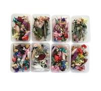 Pressed Flower Set - Dried Artwork, Nature Craft Kit | Real Botanical Leaf Charming Epoxy Resin Jewelry, Handmade Candle Pendants, Decorations Ornaments, Scented Floral Accessories