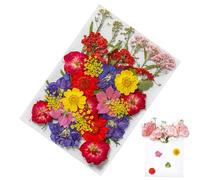 Pressed Flower Stickers - Various Dried Flowers for Crafts, Botanical Plant Stickers, Real Natural Botanical Stickers, Flower Art Supplies for Jewellery Making, Craft Home