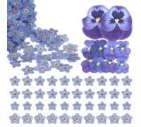 Pressed Flowers, 70 Piece Floral Pressed Flowers For Crafts Set With Assorted Sizes, Vibrant Pansies And Blue Blooms For Crafting, Dried Flower Collection For Scrapbooking And Card Making