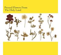 Pressed Flowers From The Holy Land