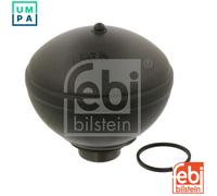Ferdinand Bilstein Pneumatic Suspension Sphere 38289 Rear Axle Left for CITROËN
