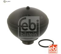 Ferdinand Bilstein Pneumatic Suspension Sphere 38289 Rear Axle Left for CITROËN
