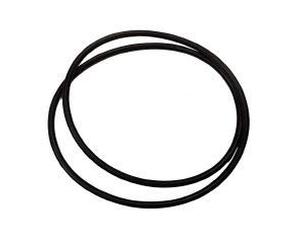 Pressure Filter Premium 15000 O Ring (15000)
