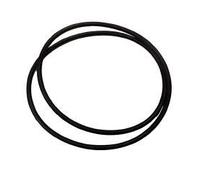 Pressure Filter Premium 15000 O Ring (20000)