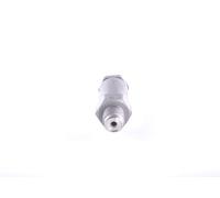 Bosch Pressure Limiting Valve 1110010020 – Common Rail System