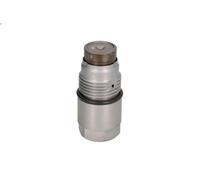 New Bosch Pressure Limiting Valve F00N010070