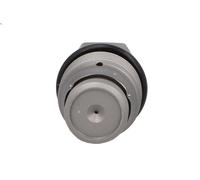 Pressure Limiting Valve, common rail system MEAT & DORIA 98149