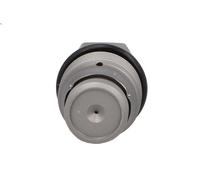 Pressure Limiting Valve, common rail system MEAT & DORIA 98149