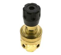 Pressure Regulator 1/4'' NPT 490 l/min 3.0-50.0bar/44-725psi Brass