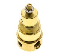 Pressure Regulator G1/4'' 330 l/min 0.5-8.0bar/7-116psi Brass CO2