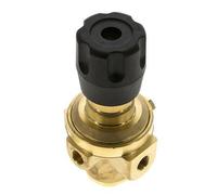 Pressure Regulator G1/4'' 490 l/min 0.5-8.0bar/7-116psi Brass