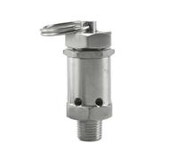 Pressure Relief Safety Valve, 1/4" 1/2" BSPT Male 304 Stainless Steel, 1-8 Bar, for Air Compressor(1/2",8 bar)