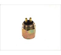 Pressure Switch, brake hydraulics DT SPARE PARTS 4.60466 for LP 3.78 1963-1984