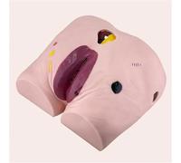 Pressure Ulcer Care Model for Nursing Practice, 4-Stage Wound Mannequin for Elderly Patient Care, Ideal for Cleaning and Treatment Simulations