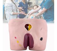 Pressure Ulcer Care Model, Life-Size 4-Stage Nursing Mannequin for Elderly Wound Training, Medical Science Practice for Pressure Pain Treatment and Surface Cleaning