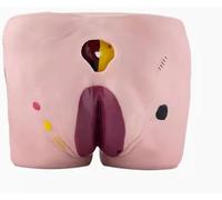 Pressure Ulcers Nursing Model, 4 Stages of Bedsores Ulcer, Elderly Bedulcer Care Model, for Teaching Human Simulator Basic Nursing Exercise