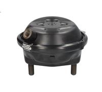 KNORR-BREMSE II18951 Diaphragm Brake Cylinder