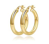 PRETOLE 4mm Thick Gold Chunky Earrings Steling Silver Post Hoops For Women Hollow Tube Hoop Hypoallergenic Lightweight Large 20/30/40/50/60MM