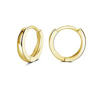 PRETTERY Gold Plated Hoops Earrings for Women, Hypoallergenic 925 Sterling Silver Hoops Earrings, 13mm Small Round Circle Huggie Hinged Hoop Sleeper Earrings