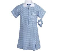 Pretty Attitude - Girl's School Uniform Pleated Gingham Summer Dress + Hair Bobble Age 3 4 5 6 7 8 9 10 11 12 13 14 15 16 17 18 20 (UK, Age, 5 Years, Regular, Sky Blue)