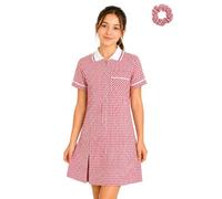 Pretty Attitude - Girl's School Uniform Pleated Gingham Summer Dress + Hair Bobble Age 3 4 5 6 7 8 9 10 11 12 13 14 15 16 17 18 20 (UK, Age, 15 Years, Regular, Red)