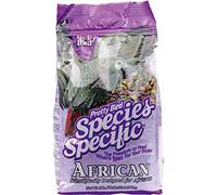 Pretty Bird International Bpb73313 Species Specific African Bird Food With Extra Calcium, 3-Pound