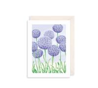 Pretty Birthday Card Allium Blooms Floral - Botanical Illustrated Greeting Card