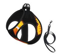 Pretty Butterfly Print Harness Leash Set For Cats And Dogs, Reflective Adjustable, Soft Breathable Mesh Vest With Escape-Proof Lead, For Small Pets And Kitten Puppies