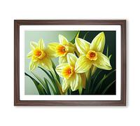 Pretty Daffodil Flowers Green, Blue, Green Framed Wall Art Print - Ready to Hang Picture - Modern Art for Living Room Bedroom Kitchen Home - Walnut A2 (48 x 66 cm)