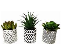 Pretty Home Potted Artificial Succulent Plants, Set of 3, Tile Pattern Porcelain Pots (small pot)