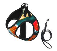 Pretty Koi Fish print Dog Harness and Leash Set, Reflective Adjustable Puppy Vest for Small Medium Large Dogs, Cats