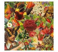 Pretty & Nice - Us You All We [Japan CD] XQER-1052