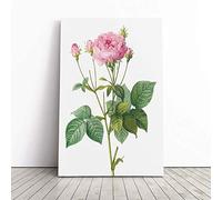 Pretty Pink French Roses by Pierre-Joseph Redoute | Canvas Wall Art Print | Framed & Ready to Hang Picture | Modern Home Decor for Living Room, Bedroom, Kitchen or Office | 20x14 Inches