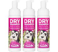 Pretty Pooch Dry Shampoo Mousse - Contains Aloe and Avocado - Cleans, Refreshes and Hydrates Without the Need for Water - Helps to Remove Knots and Odours - For all Dog Breeds (3 x 200ml)