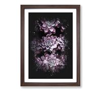 Pretty Purple Succulent Plants Paint Splash Framed Print | A2 Walnut Framed Wall Art | Ready to Hang | Modern Floral Picture | Living Room Bedroom Lounge Office