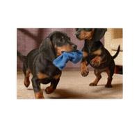 Pretty There Are Two Small1000 Piece Jigsaw Puzzles for Adults, Wooden Jigsaw Puzzle