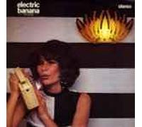 PRETTY THINGS - electric banana, the sixties LP