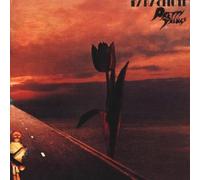 Pretty Things - Parachute