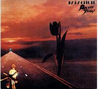 Pretty Things - Parachute