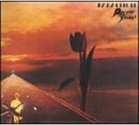 Pretty Things - Parachute