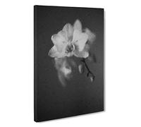Pretty White Orchid Canvas Print | Gallery Wrapped 30mm Frame Wall Art | 30x20 inches | Ready to Hang | Modern Floral Picture | Living Room Bedroom Lounge Office